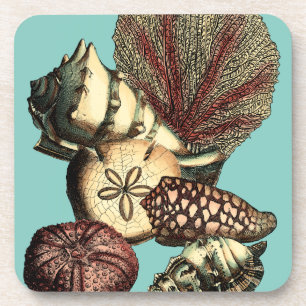 Turquoise Shell and Red Coral Collection Coaster