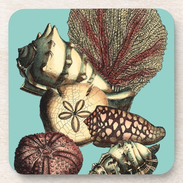 Turquoise Shell and Red Coral Collection Coaster (Front)