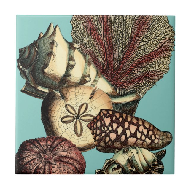Turquoise Shell and Red Coral Collection Tile (Front)