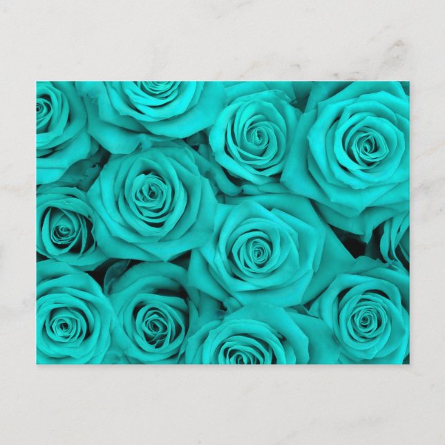 Turquoise Spectacular Roses Postcard (Front)
