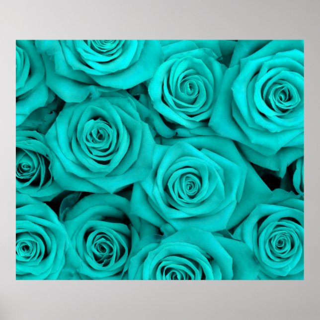 Turquoise Spectacular Roses Poster (Front)
