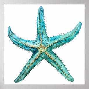 Turquoise starfish 24 x 24 Poster