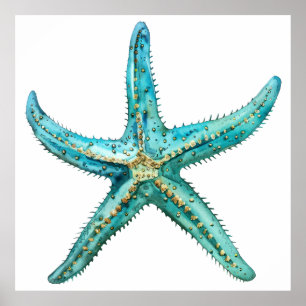  Turquoise starfish Poster
