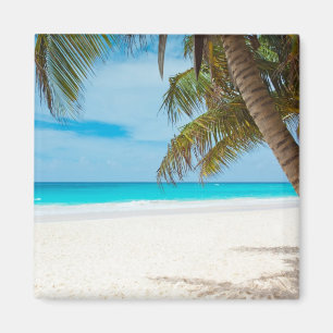 Turquoise Tropical Beach Magnet