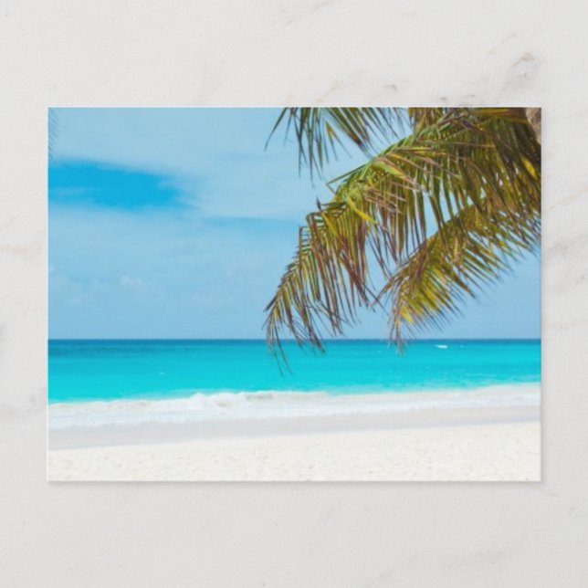 Turquoise Tropical Beach Postcard (Front)