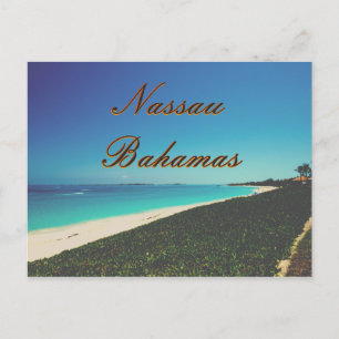 Turquoise Water Beach Postcard