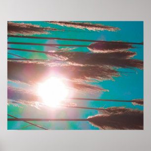 "TurquoiseMidday" poster