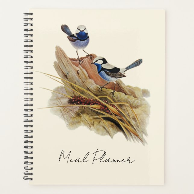 Turquoisine Superb Warbler,  Planner (Front)