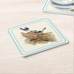 Turquoisine Superb Warbler, Square Paper Coaster