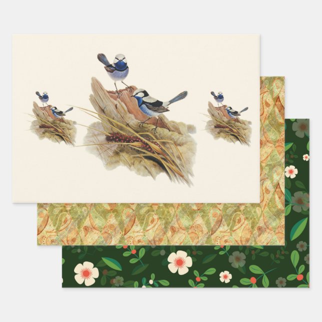 Turquoisine Superb Warbler Wrapping Paper Sheet (Set)
