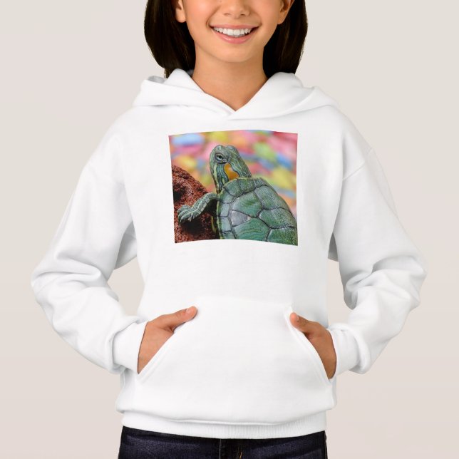 Turtle (Front)