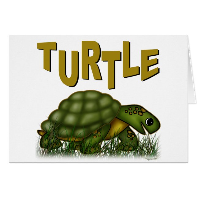 Turtle (Front Horizontal)