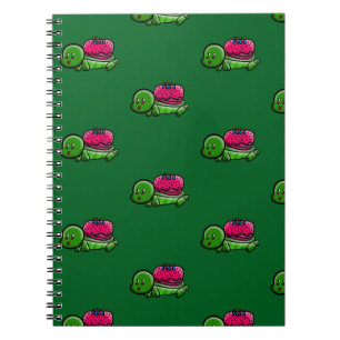 Turtle 2 notebook