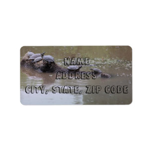 Turtle Address Labels