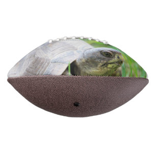 Turtle American Football