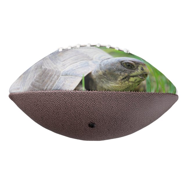 Turtle American Football (Rotated 270)