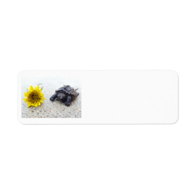 Turtle and dandelion label (Front)