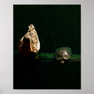 Turtle and Duck Art Photograph Poster