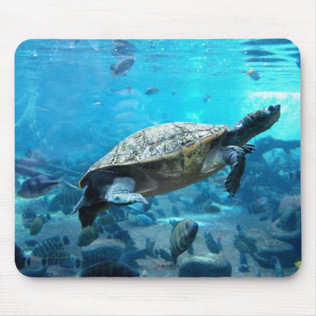 Turtle and fish mouse mat (Front)
