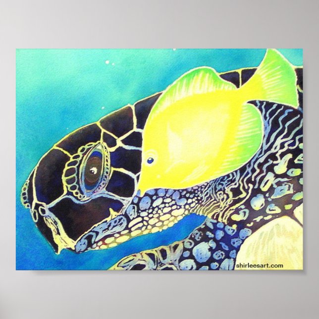 turtle and fish poster (Front)