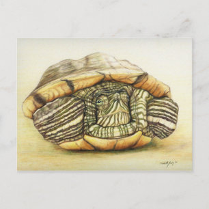 "Turtle" Art Reproduction Postcard