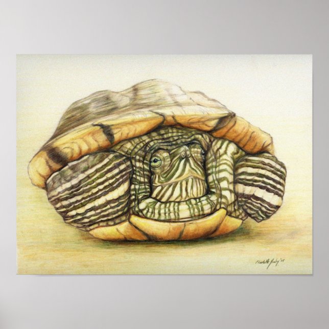 "Turtle" Art Reproduction Print Poster (Front)