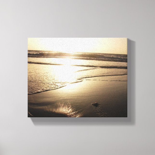 Turtle at sunset canvas print (Front)