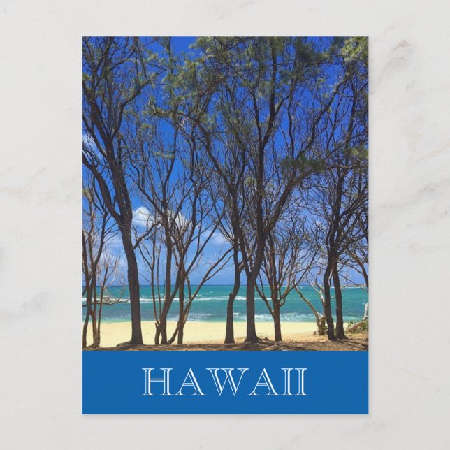 turtle bay trees postcard (Front)