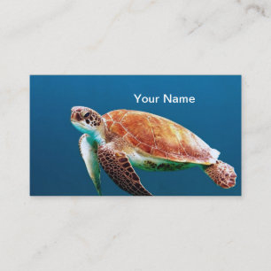 Turtle Blue Water Sea Photo Business Card