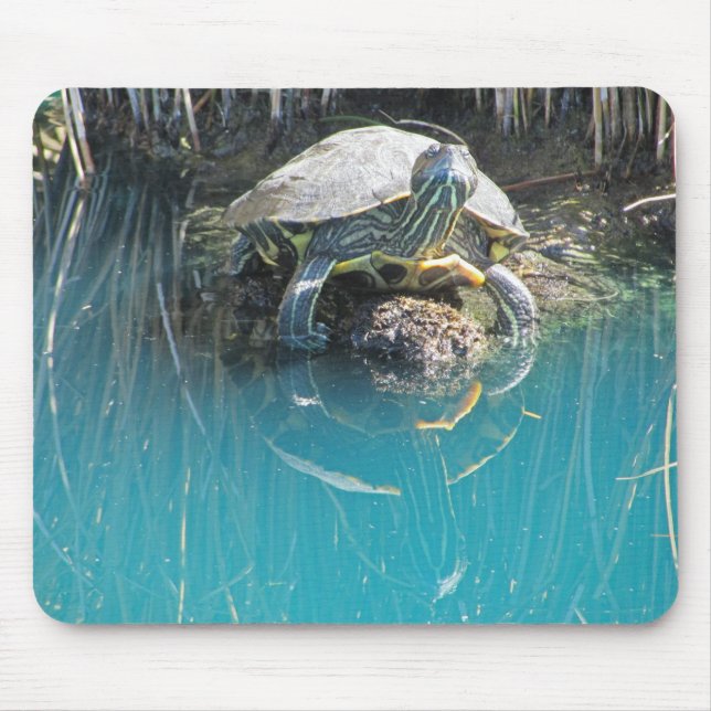 Turtle by Water with Reflection Photo Lake Animal Mouse Mat (Front)