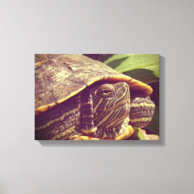 Turtle Canvas Print (Front)