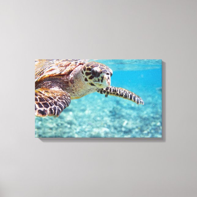 Turtle Canvas Print (Front)