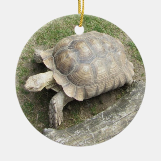Turtle Ceramic Tree Decoration (Front)