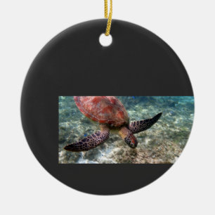 turtle ceramic tree decoration
