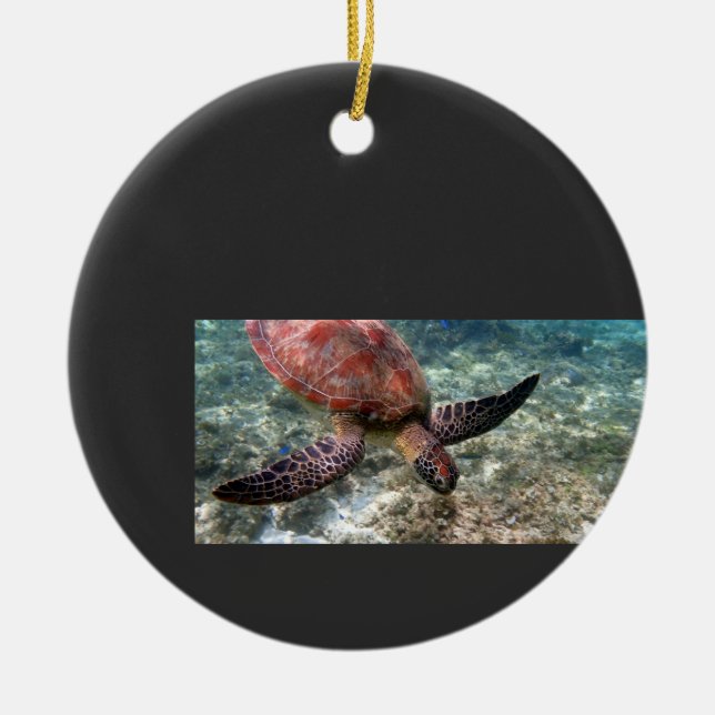 turtle ceramic tree decoration (Front)