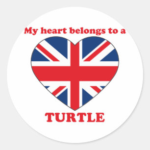 Turtle Classic Round Sticker
