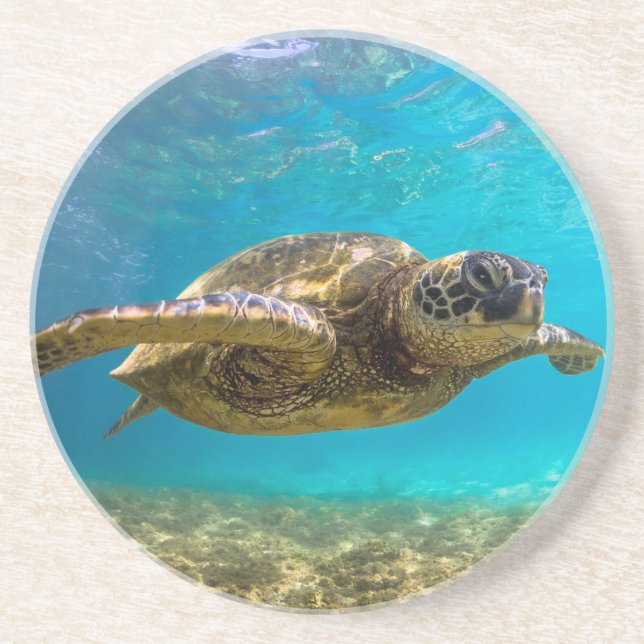 Turtle Coaster (Front)