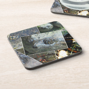 Turtle Collage Coaster