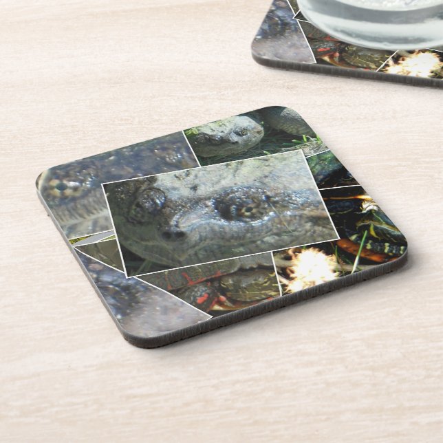 Turtle Collage Coaster (Left Side)