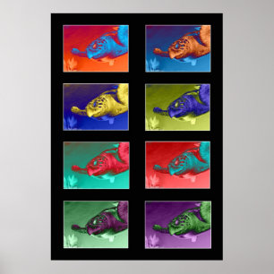 Turtle Colour Montage Poster