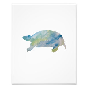 Turtle Colourful Watercolor Photo Print