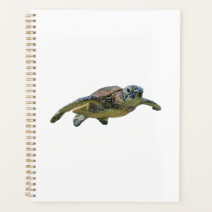 Turtle Copy Copy Copy Copy Copy Copy Copy Copy Cop Planner