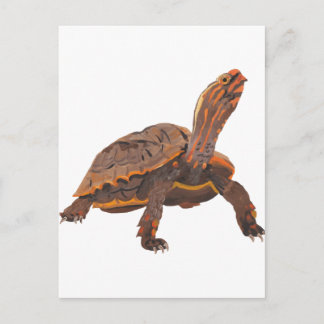 Turtle Copy Copy Copy Copy Copy Copy Copy Postcard