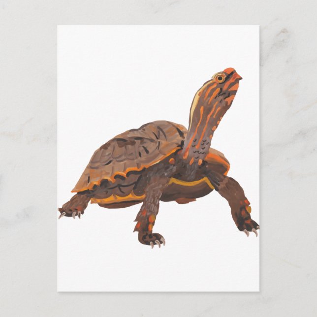 Turtle Copy Copy Copy Copy Copy Copy Copy Postcard (Front)