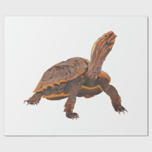 Turtle Copy Copy Copy Copy Copy Copy Copy Wrapping Paper