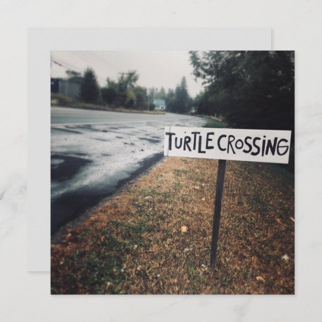 turtle crossing invitation (Front/Back)