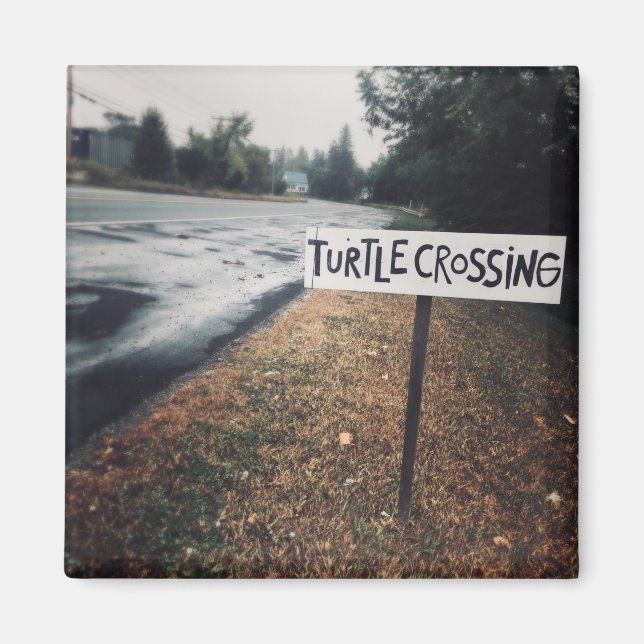 turtle crossing magnet (Front)