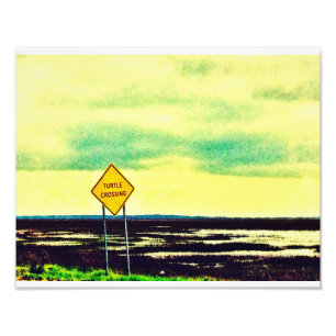 Turtle Crossing Photo Print