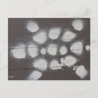 turtle crossing postcard