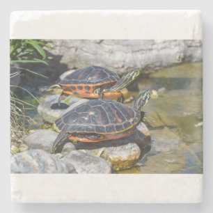 Turtle Cute Animal Office Custom Destiny Destiny'S Stone Coaster